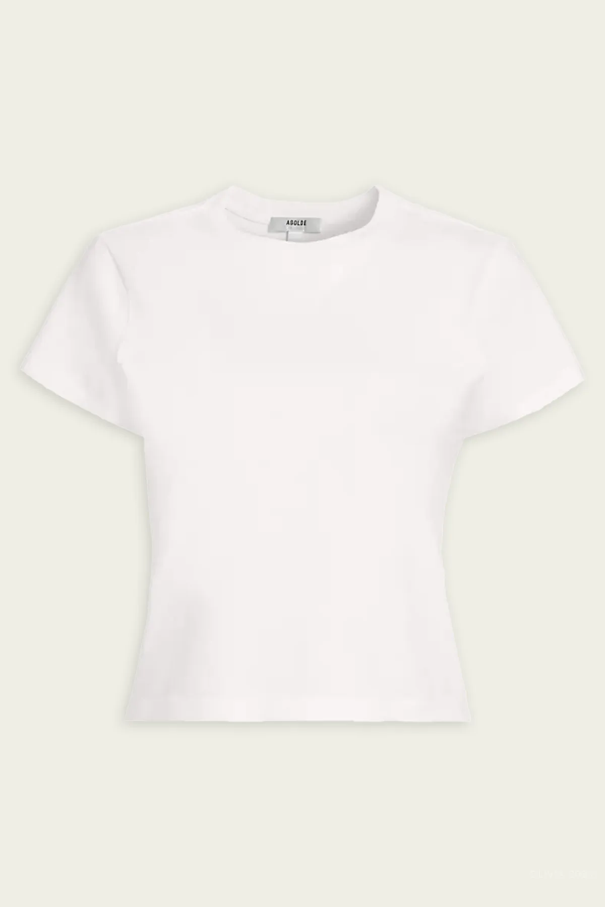 Adine Shrunken Tee in White Ash