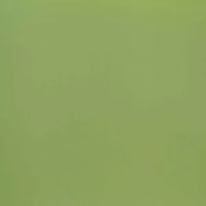 Air Washed Cotton Poplin, Lemon