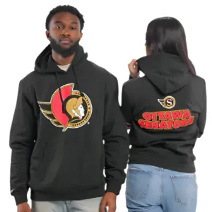 Big Logo Wordmark Pullover Hoody