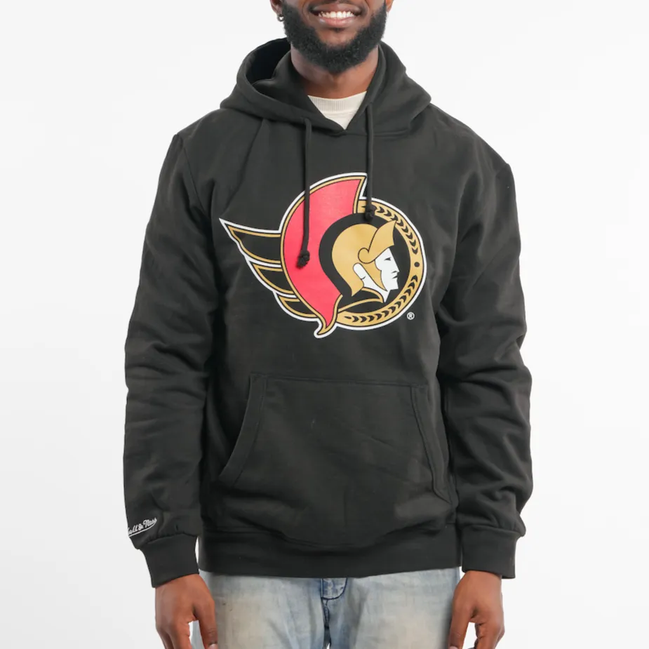Big Logo Wordmark Pullover Hoody