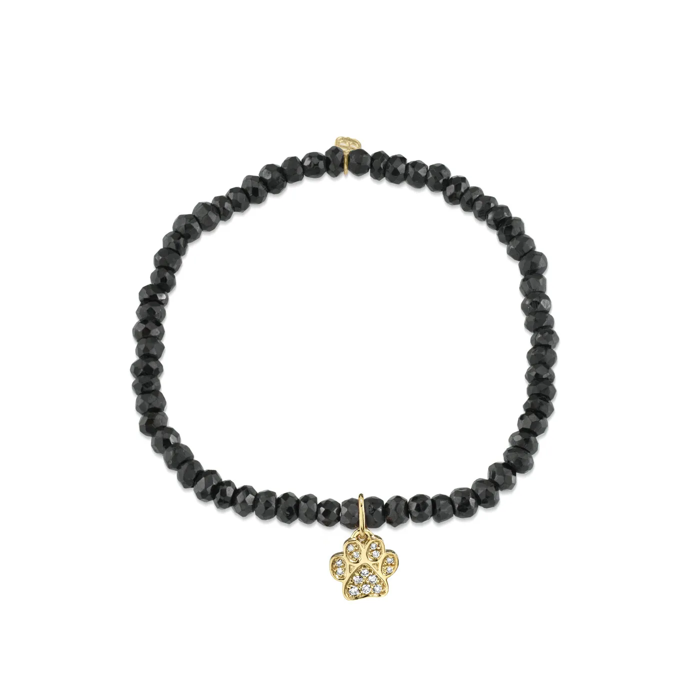 Gold & Diamond Paw on Black Spinel