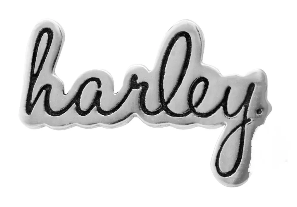 Harley-Davidson® Women's Stainless Steel Harley Script Rally Charm, Gold or Silver