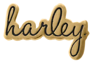 Harley-Davidson® Women's Stainless Steel Harley Script Rally Charm, Gold or Silver