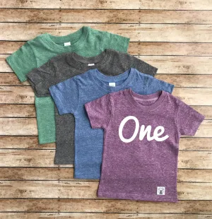 One Shirt - One Birthday Shirt - Birthday Boy Shirt - First Birthday T Shirt - 1st Birthday Shirt Baby Tri-Blend Shirt