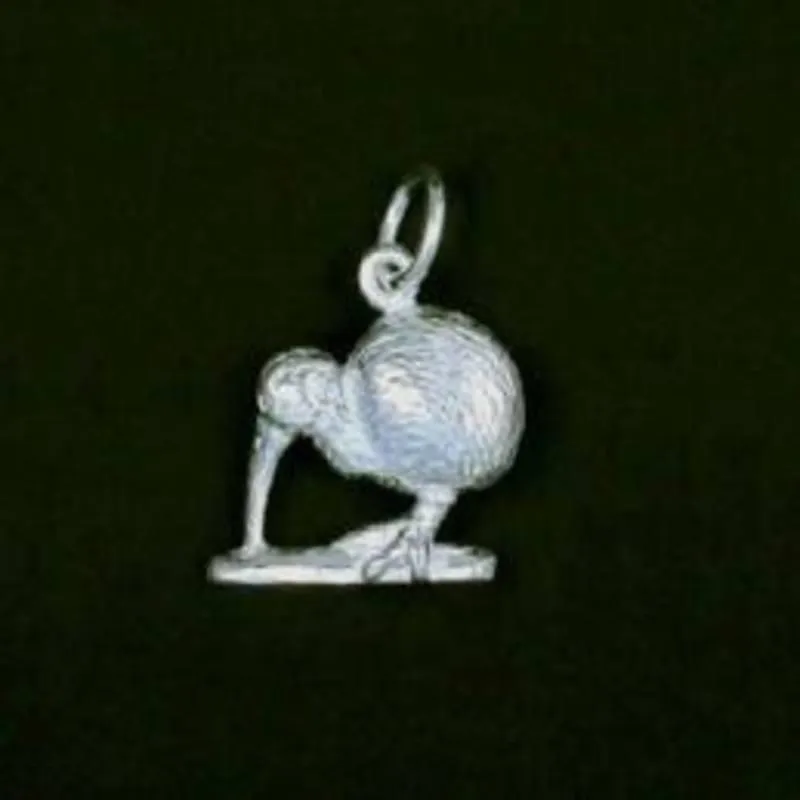 Sterling Silver Little Brown Kiwi Charm or Earrings