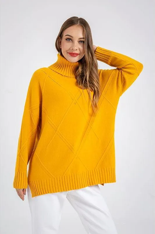 Turtle Neck Loose Long Sleeve Sweater