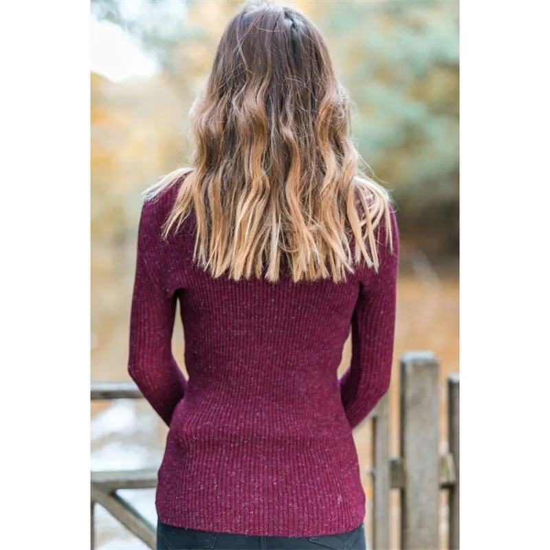 Turtleneck Standard Thickness Elastic Sweater